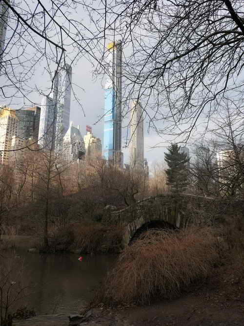 NYC_2020-01-26 08-42-45_P1070487